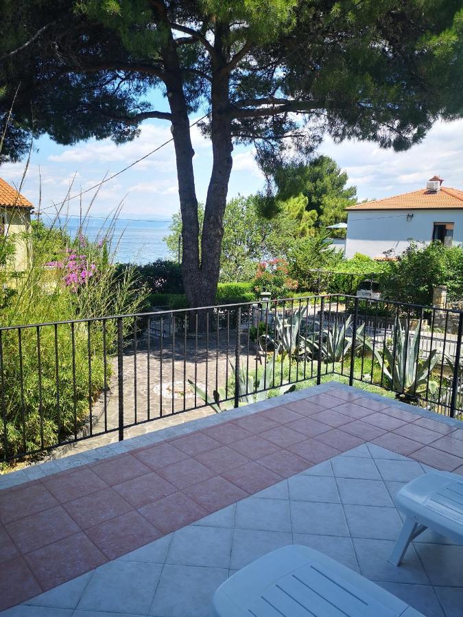 Apartment & Rooms Lilis Izola Exterior foto